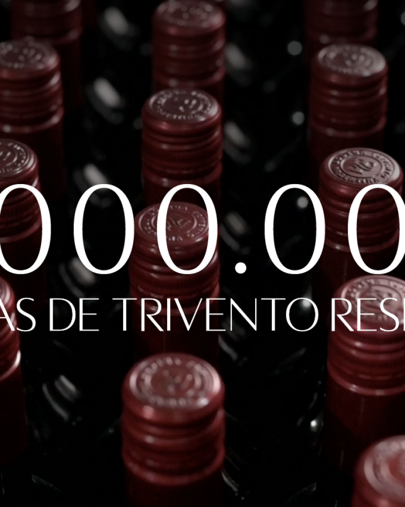 Trivento Reserve superó el millón de cajas