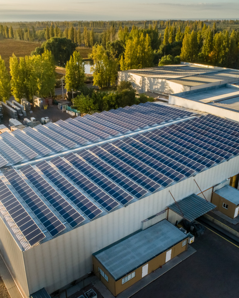 Trivento aplica más del 10% de energía renovable en su operación de Maipú