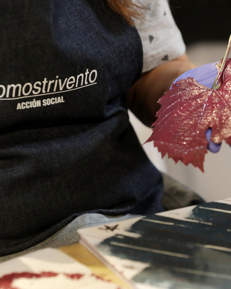 Vientos de oportunidad: La iniciativa educativa de Trivento