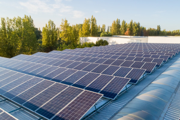 Energía limpia y eficiente, la meta de Trivento