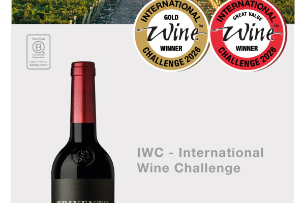 El Cabernet Franc argentino que se llevó el Trophy en International Wine Challenge
