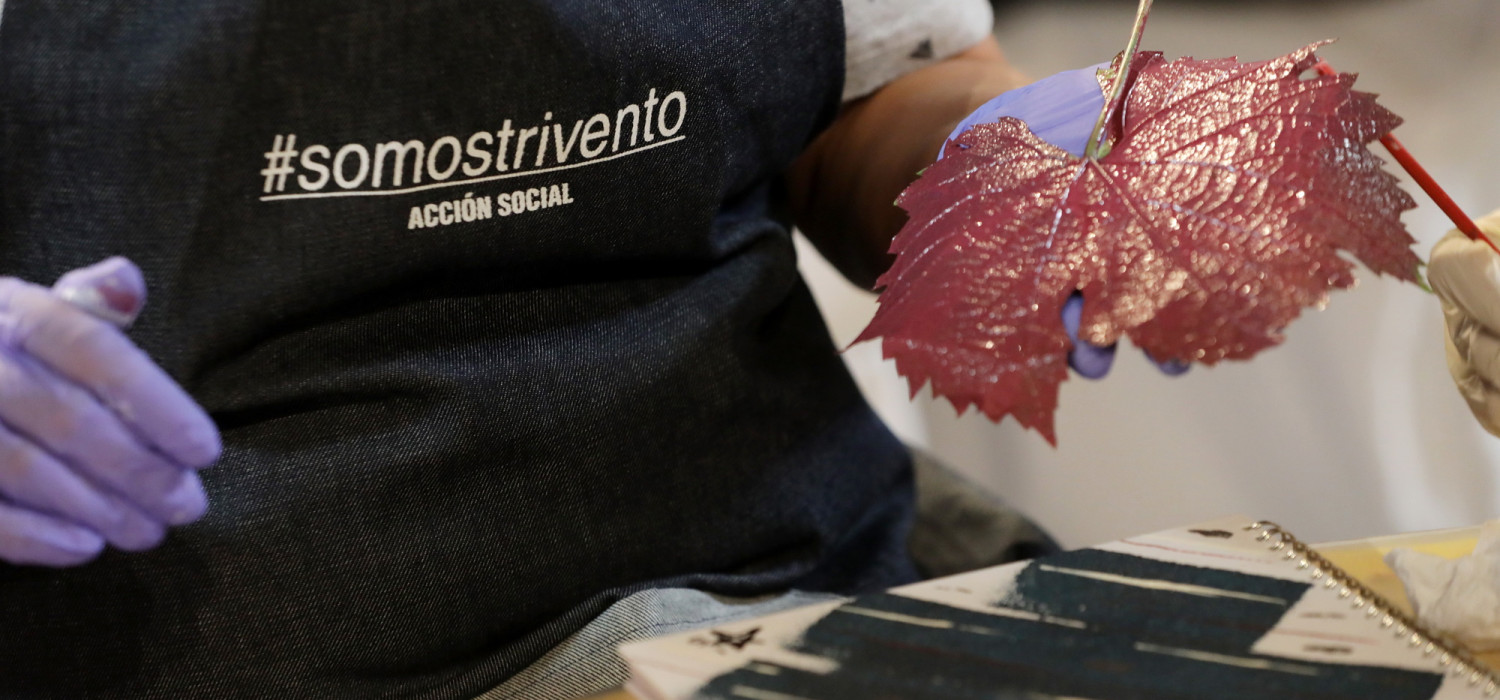 Vientos de oportunidad: La iniciativa educativa de Trivento
